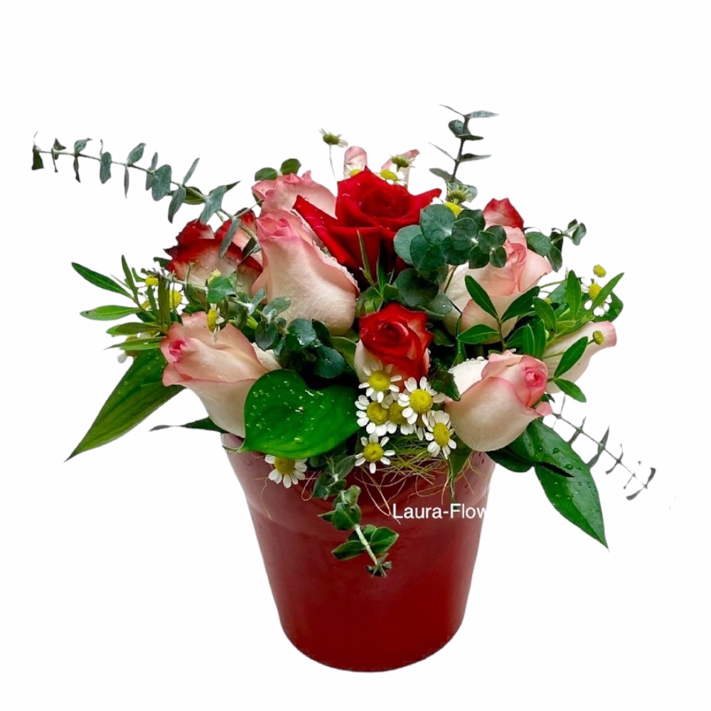 Νέα Λιόσια αποστολή λουλουδιών online ανθοπωλείο