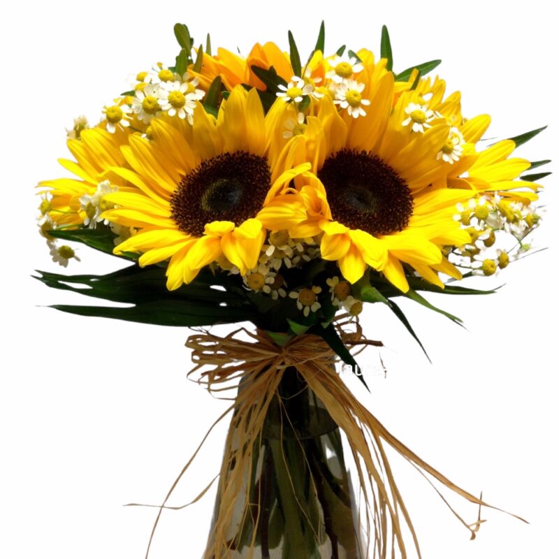 Σαρωνίδα αποστολή λουλουδιών - Online ανθοπωλείο