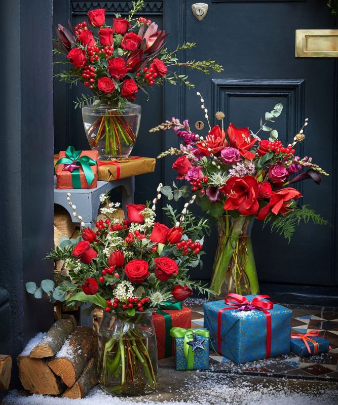 6 Παραδοσιακά Χριστουγεννιάτικα λουλούδια και φυτά