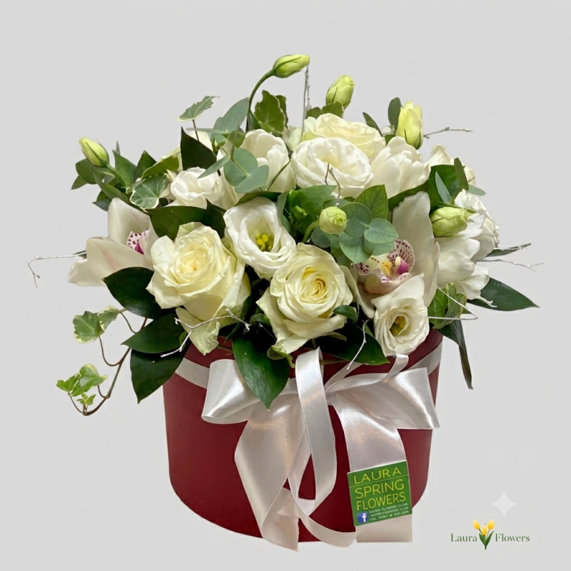 PURE WHITE IN A BOX